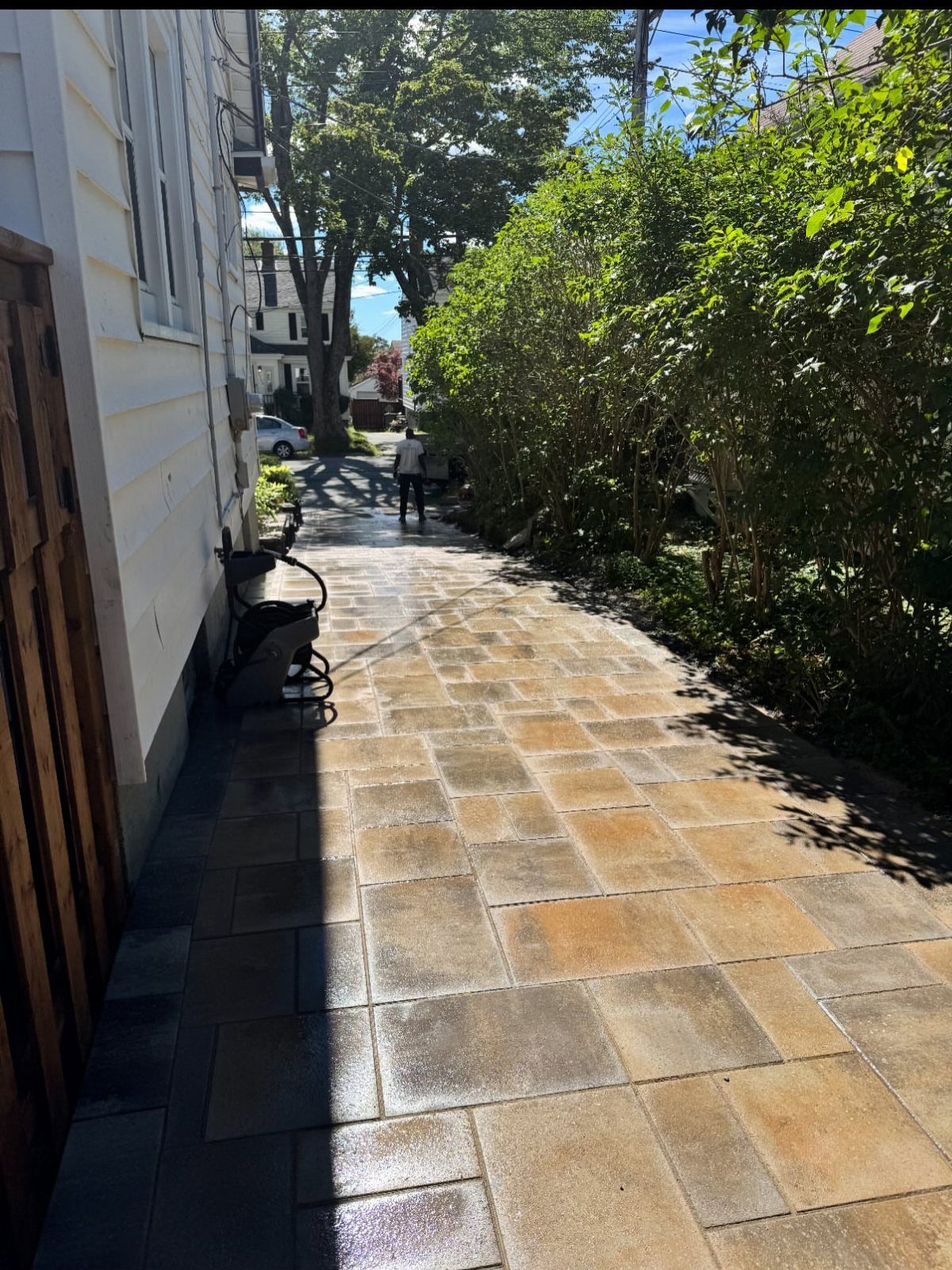 Stone paver walkway stretching alongside a white house and dense green garden bushes.