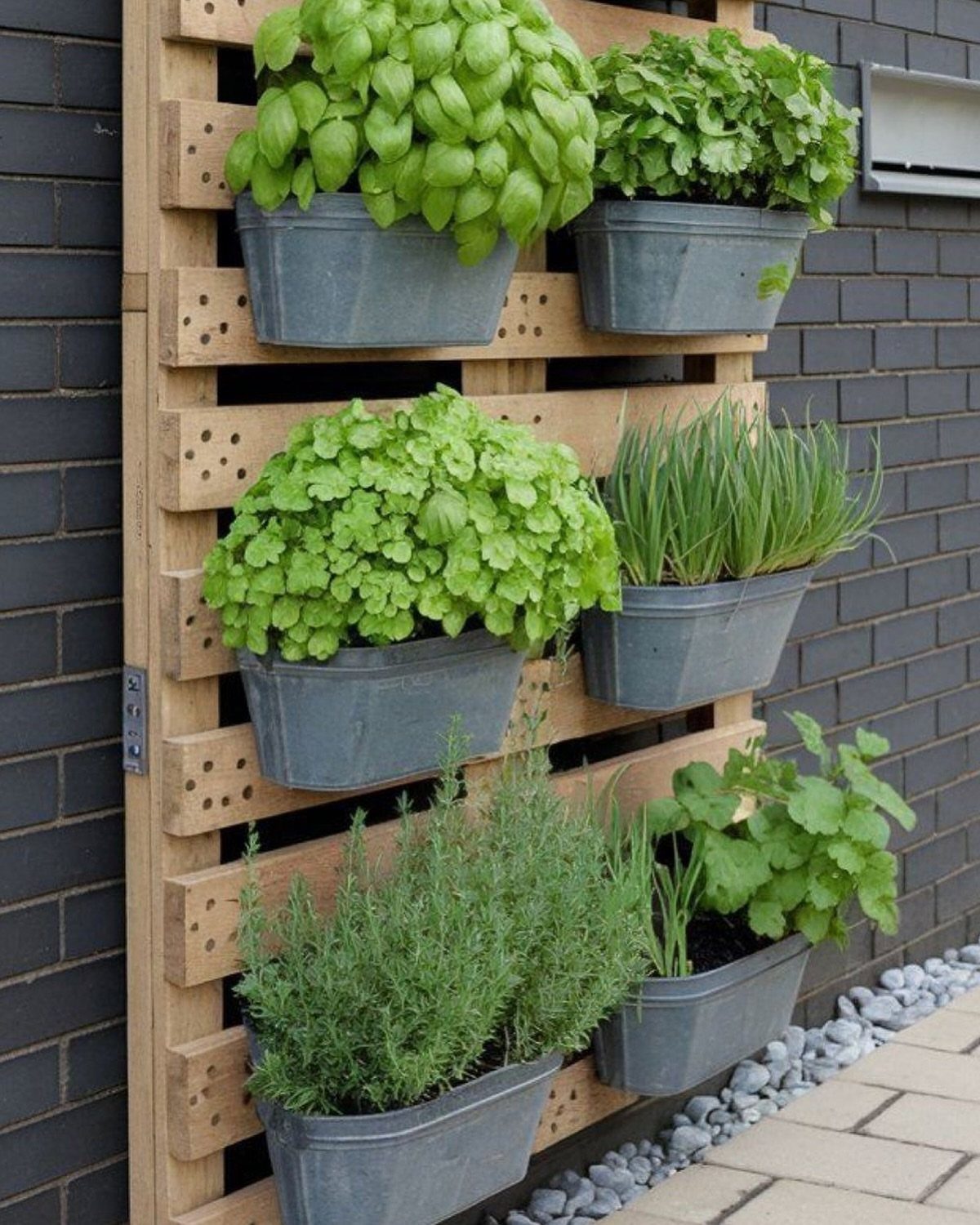 Green herbs growing in grey planters mounted on a wooden pallet against a brick wall.