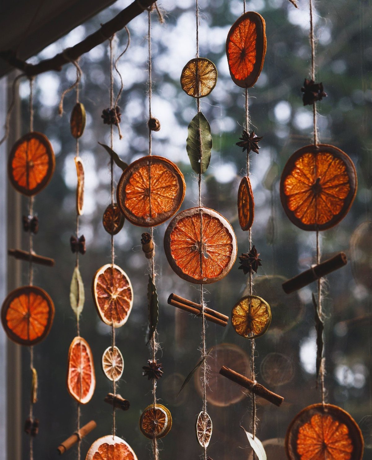 Dried citrus slices and cinnamon sticks hanging from strings as a festive garland.