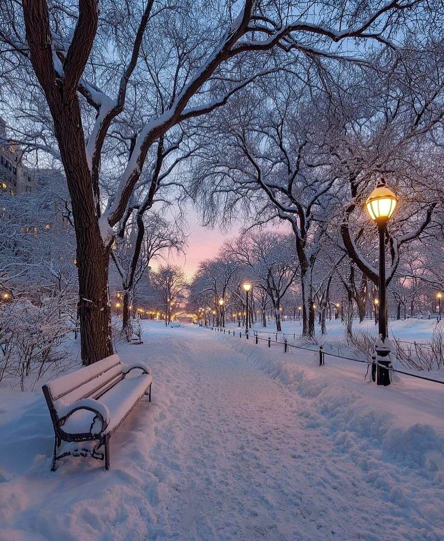 Christmas Wallpaper Backgrounds iPhone: 8 Styles for Your Screen 3 Snow-covered park path lined with trees and glowing street lamps under a twilight sky.