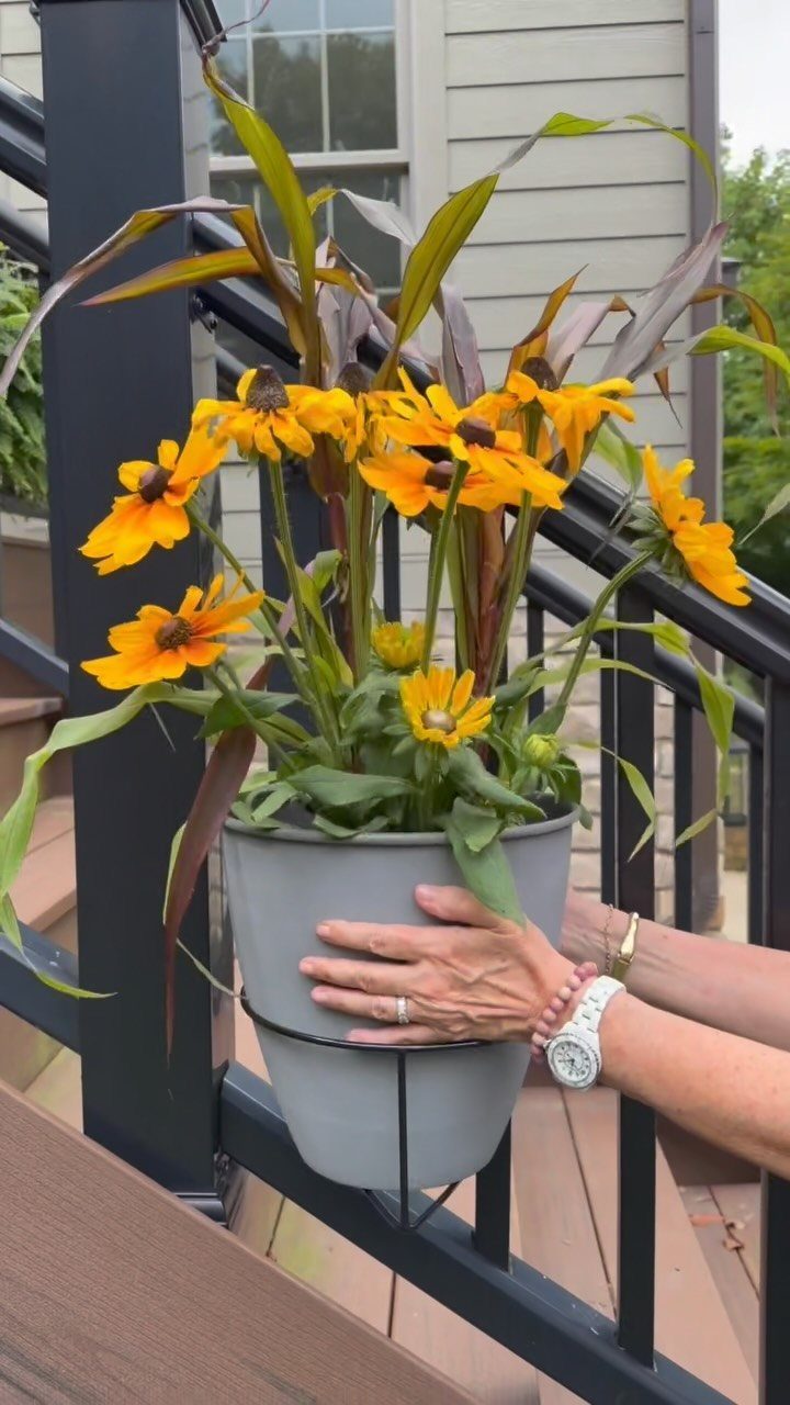 Hands holding a grey planter with yellow flowers hanging on a black deck railing.
