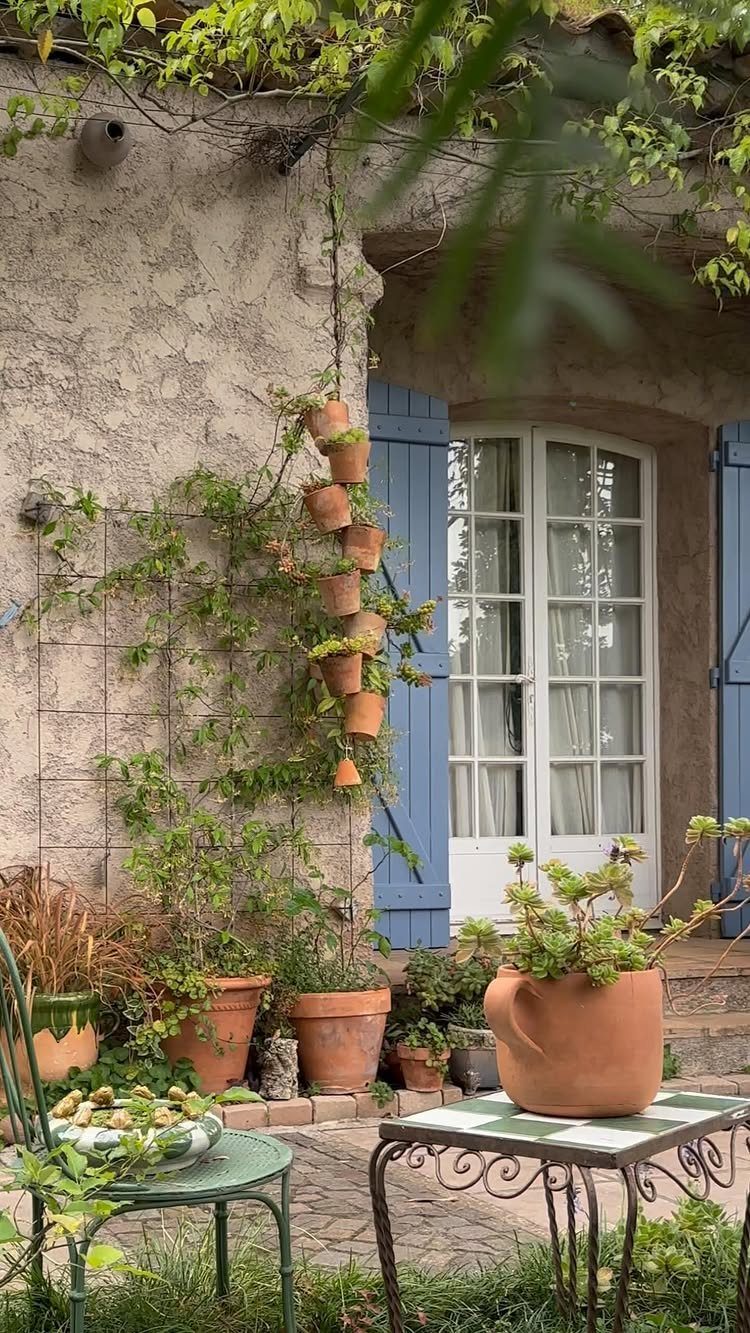 Terracotta pots and climbing plants decorate a rustic courtyard with blue shutters and a French door.