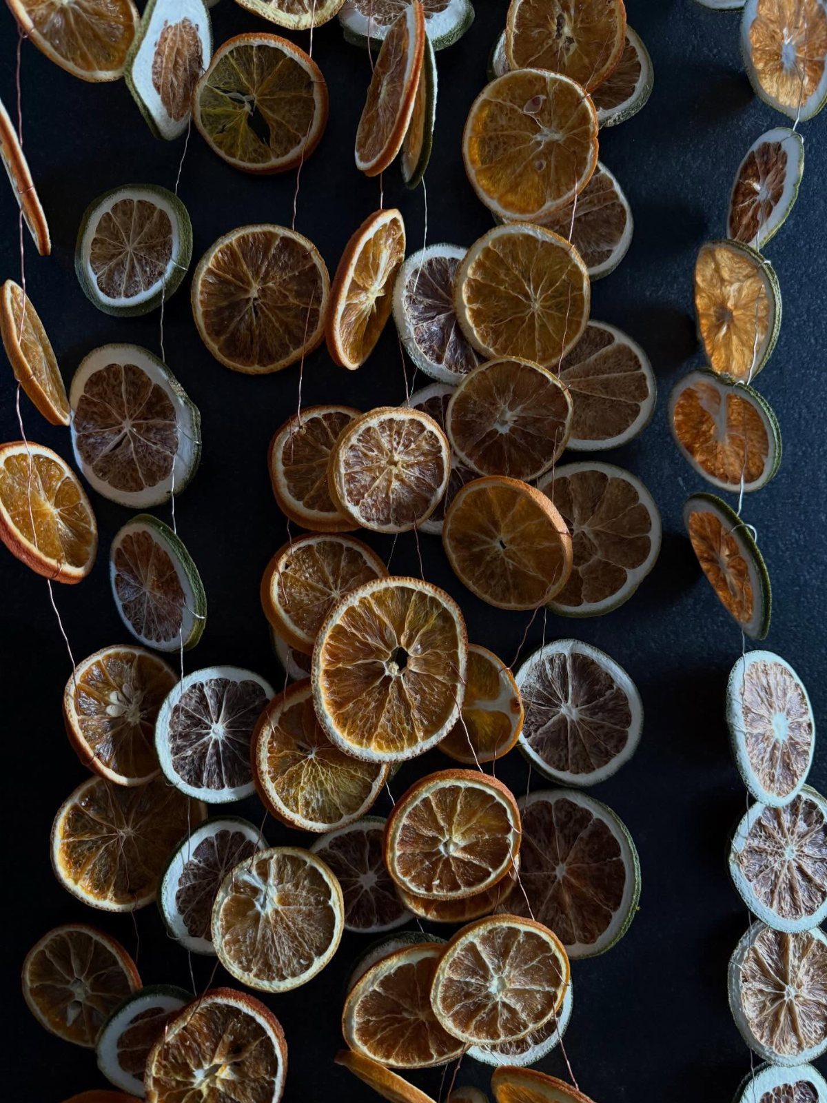 Dried citrus slices strung on thin white threads forming decorative garlands against a dark background.