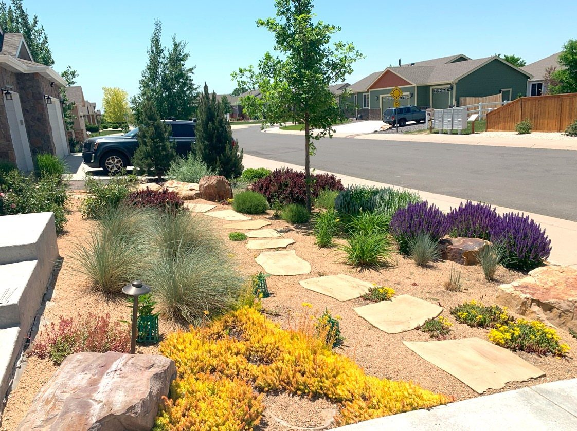 7 Easy Landscaping Ideas for a Cleaner, Lower-Maintenance Yard 5 Drought-tolerant plants and ornamental grasses arranged in a gravel garden bed with stepping stones.