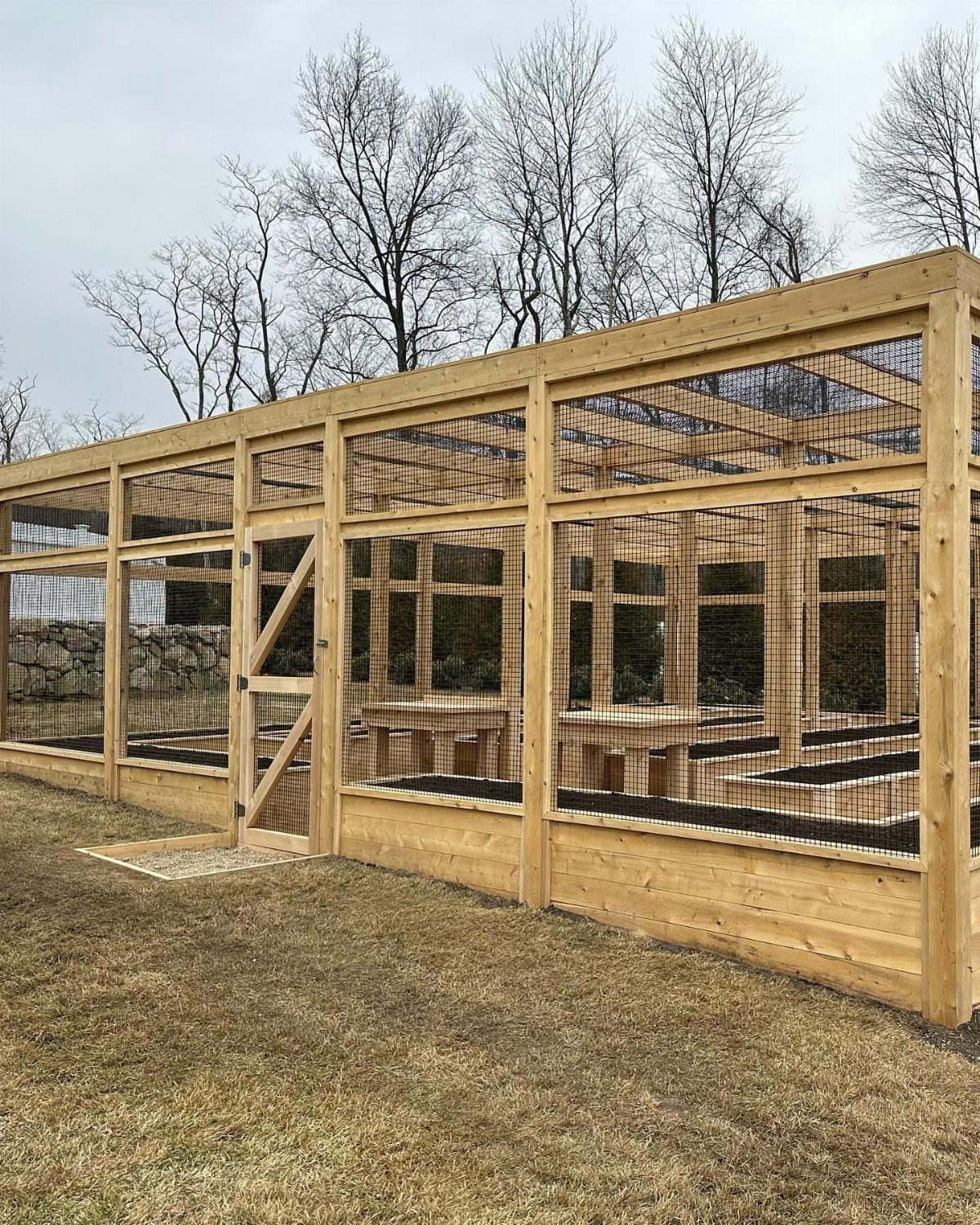 A large wooden garden enclosure with wire mesh panels and a small wooden gate.