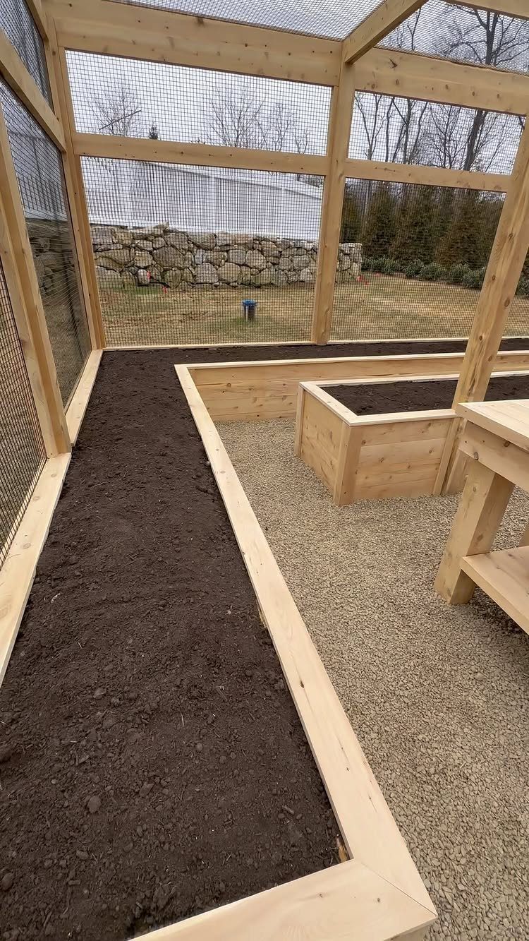 Wooden raised garden beds filled with dark soil inside a large wire mesh enclosure.