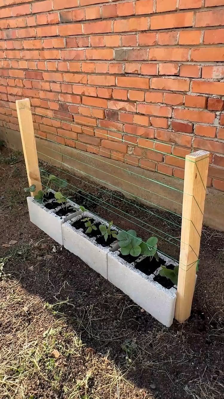 Small vegetable garden with cinder block planters and green wire fencing against a brick wall.