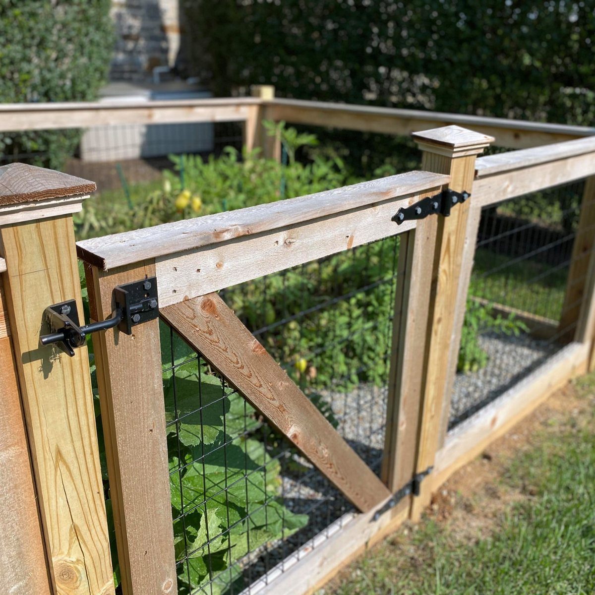 A wooden garden fence with a small gate and wire mesh enclosing green vegetable plants.