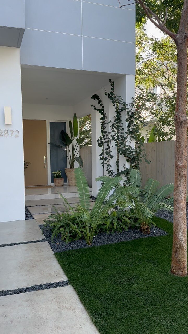 Artificial turf patch next to a concrete walkway and tropical plants in a modern front yard.