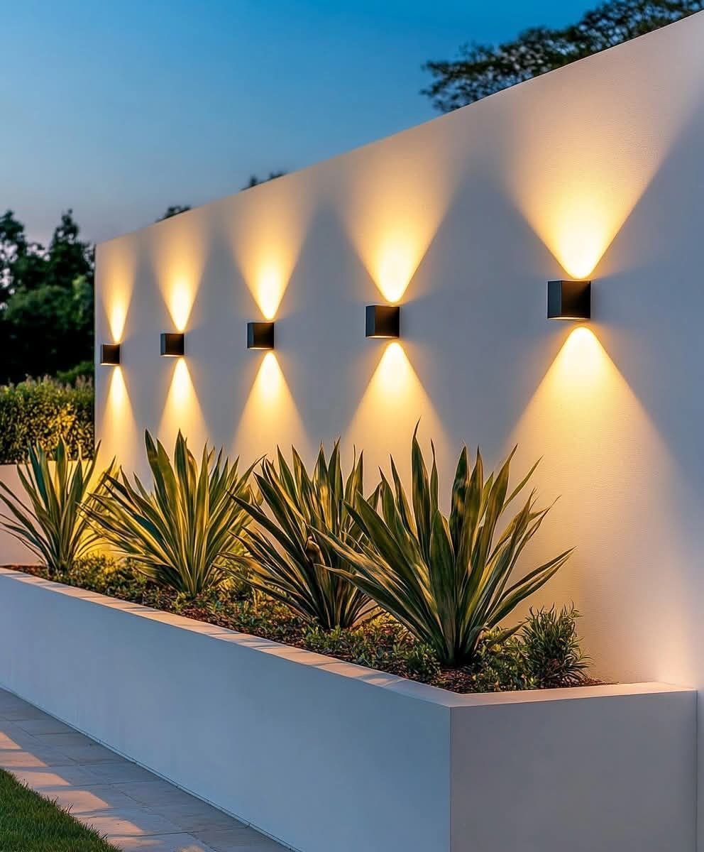 Spiky green agave plants in a white planter box against a lit white wall.