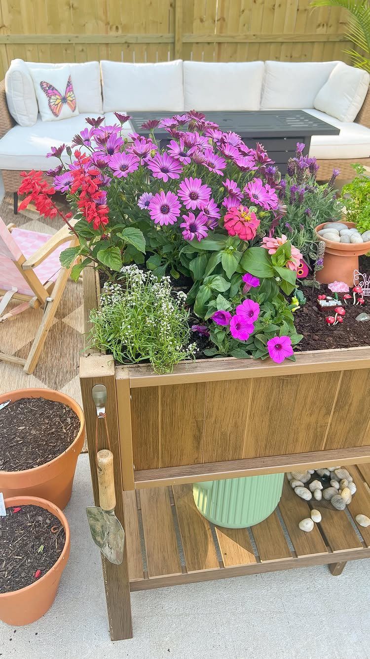 Garden Ideas: 12 Plants and Layouts for 2026 8 Colorful pink and red flowers blooming in a wooden planter box on a patio.
