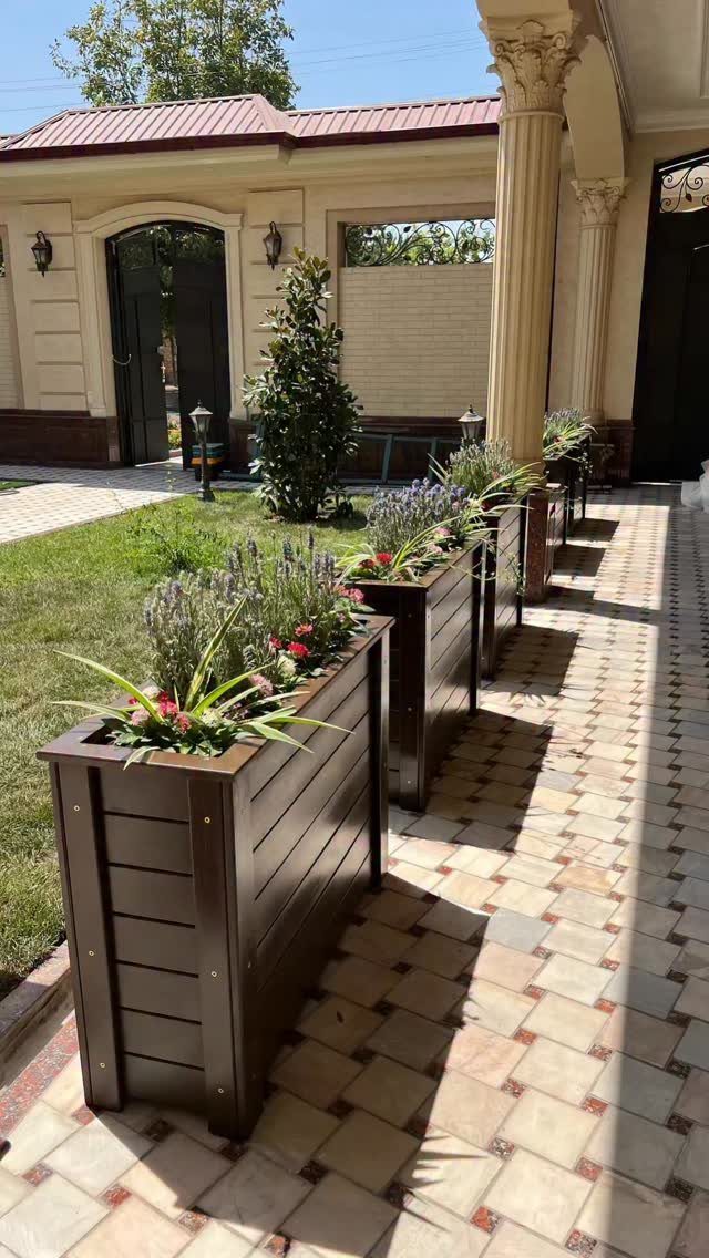 Garden Ideas: 12 Plants and Layouts for 2026 11 Dark brown wooden flower boxes containing green plants and lavender lining a tiled walkway.