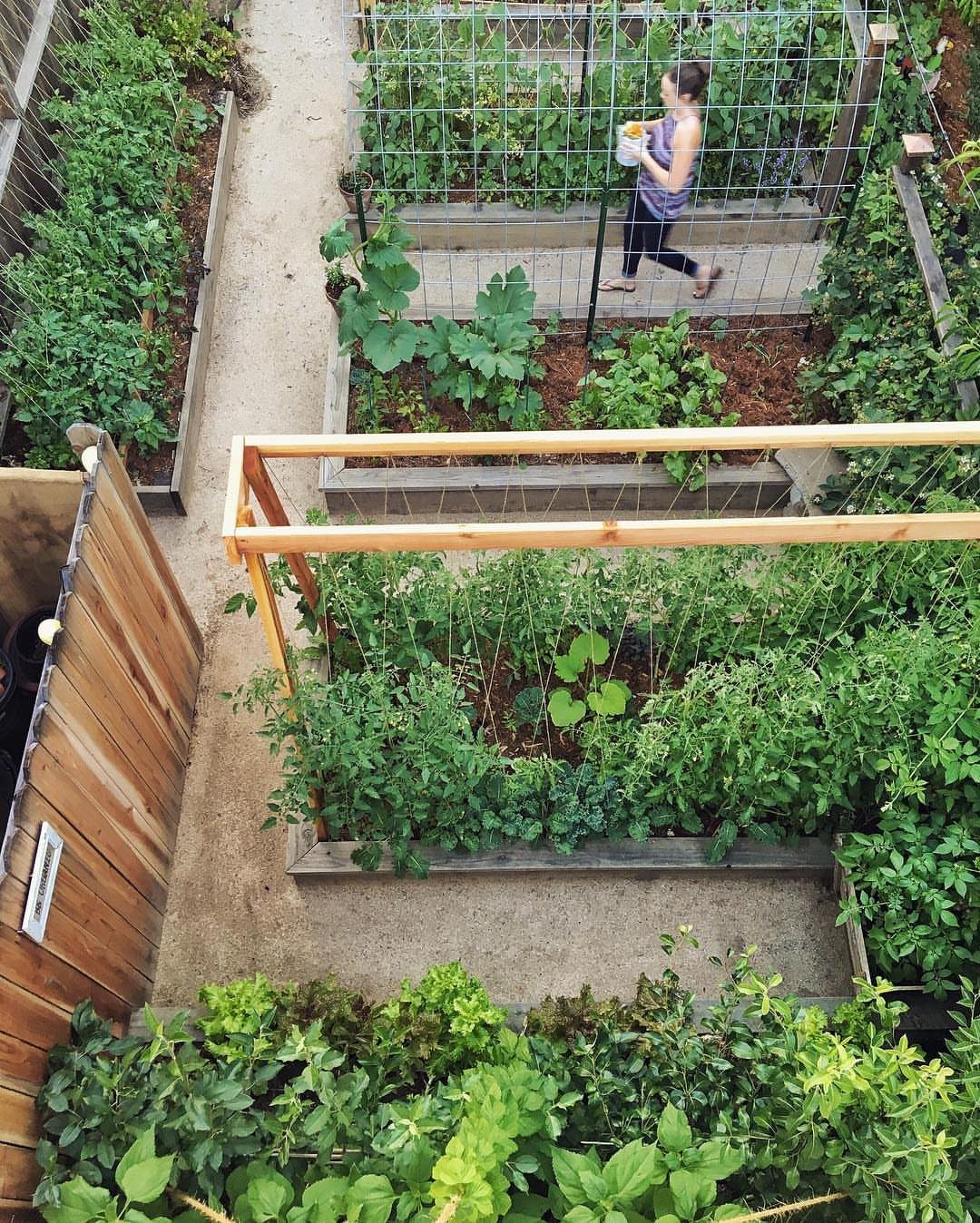 Garden Ideas: 12 Plants and Layouts for 2026 12 Aerial view of a small urban garden with raised wooden beds filled with green plants.