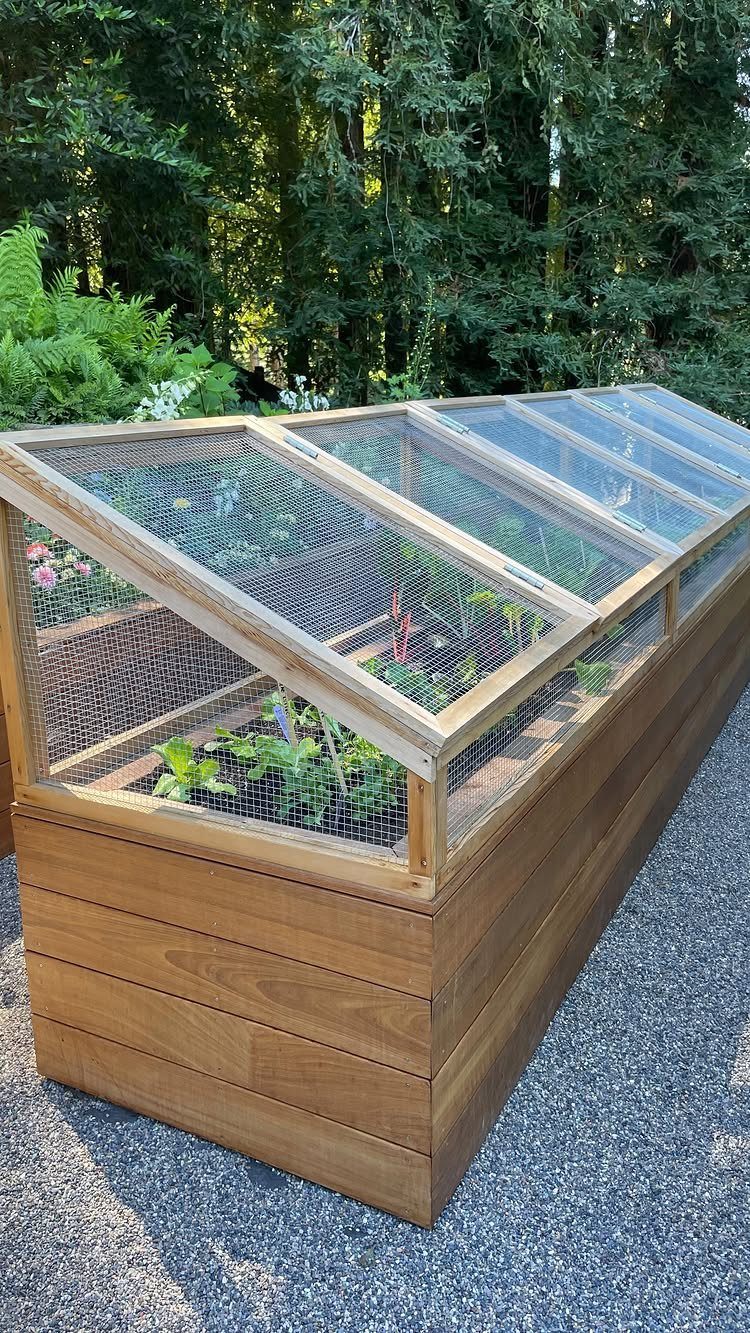 Garden Ideas: 12 Plants and Layouts for 2026 9 A long wooden raised garden bed with a wire mesh cover containing green plants.