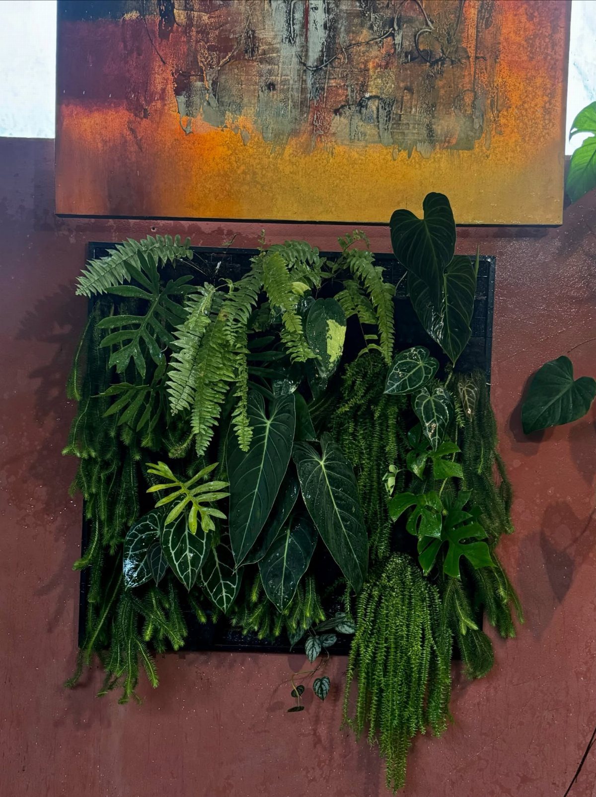 Garden Ideas: 12 Plants and Layouts for 2026 10 Green ferns and tropical plants arranged in a vertical garden frame on a reddish wall.