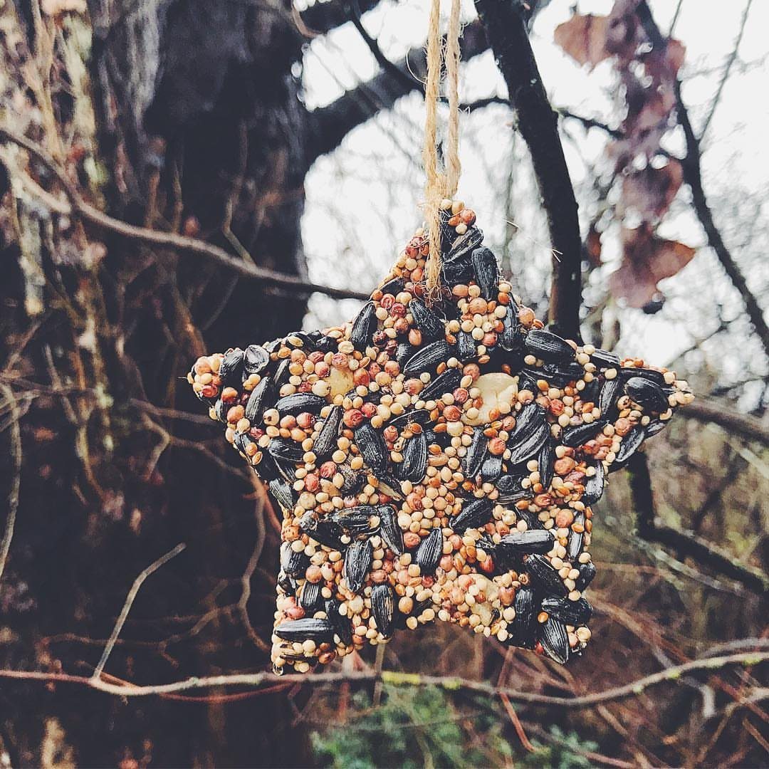 26 Handmade Ornaments: DIY Projects from Paper to Pinecones 21 A star-shaped birdseed ornament hanging from a tree branch in a natural outdoor setting.