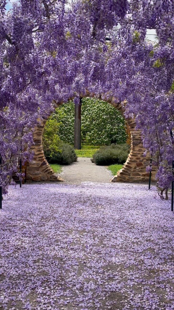 Interesting Garden Ideas: 9 Spaces That Pull You In 4 Purple wisteria blossoms drape over a stone archway leading to a lush green garden path.