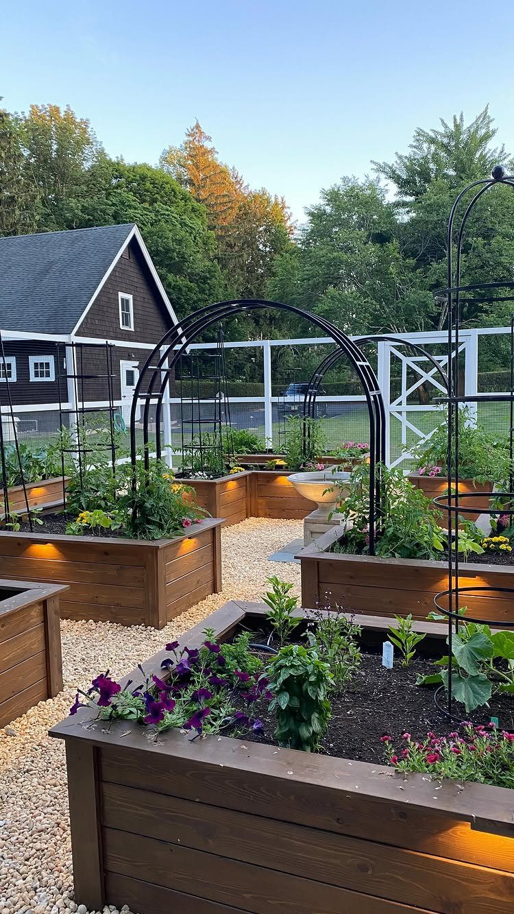 8 Modern Vegetable Garden Design Ideas for Any Yard 6 Wooden raised garden beds with plants and black metal trellises set in a gravel garden.