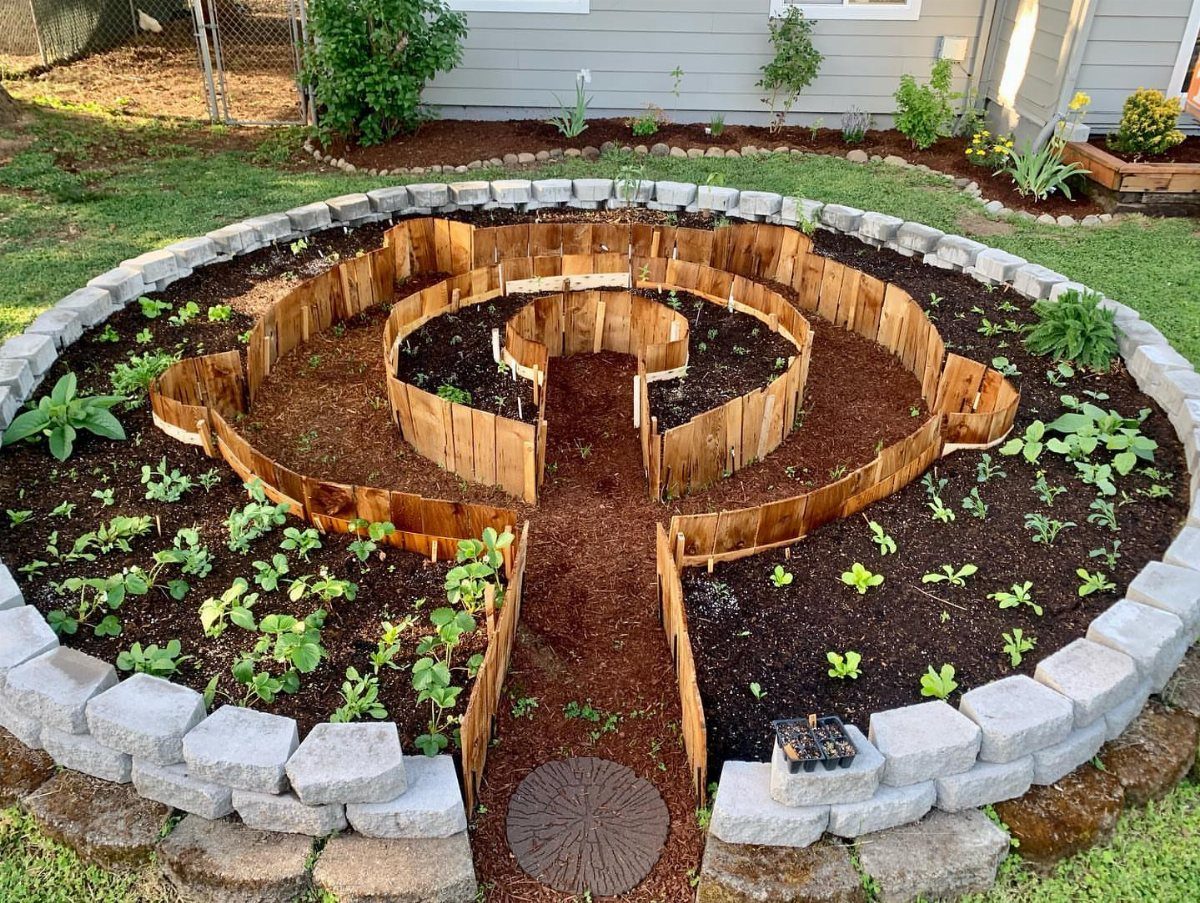 8 Modern Vegetable Garden Design Ideas for Any Yard 5 A circular keyhole garden bed with wooden dividers and small green plants in dark soil.