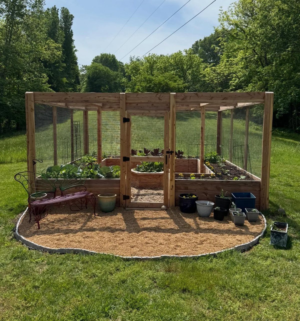 10 Potager Garden Ideas for Every Yard Size and Budget 8 A wooden garden enclosure with wire mesh sides containing raised beds and green plants.