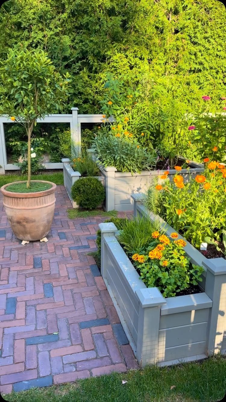 10 Potager Garden Ideas for Every Yard Size and Budget 7 Raised garden beds filled with orange marigolds and green herbs on a brick patio.