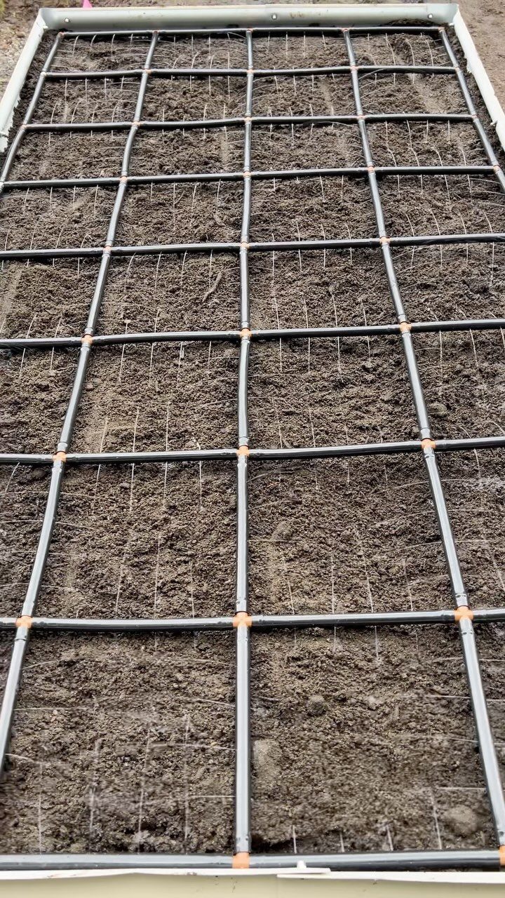 Black drip irrigation tubing laid in a grid pattern over dark soil in a raised garden bed.
