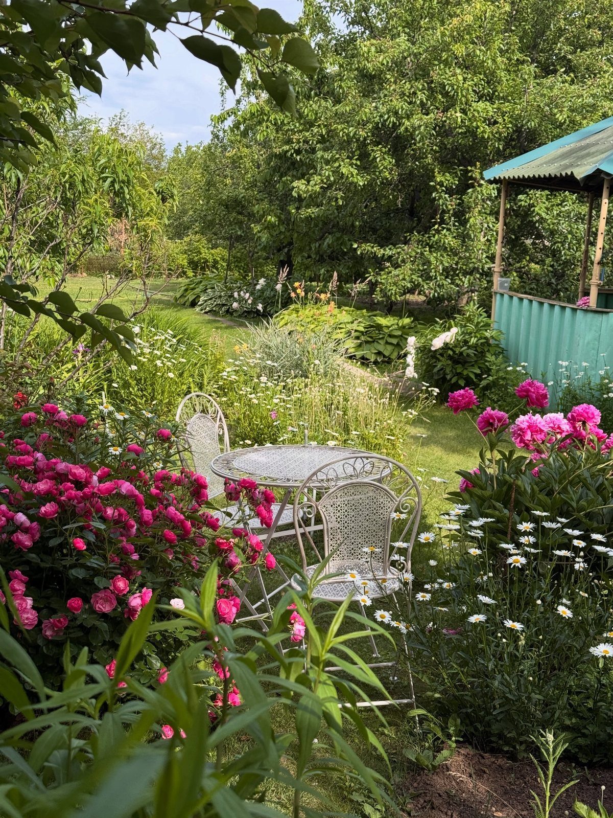 Simple Garden Layout Ideas for 2026: 12 Plans to Try 9 Pink roses and white daisies surround a white metal patio set in a lush green garden.