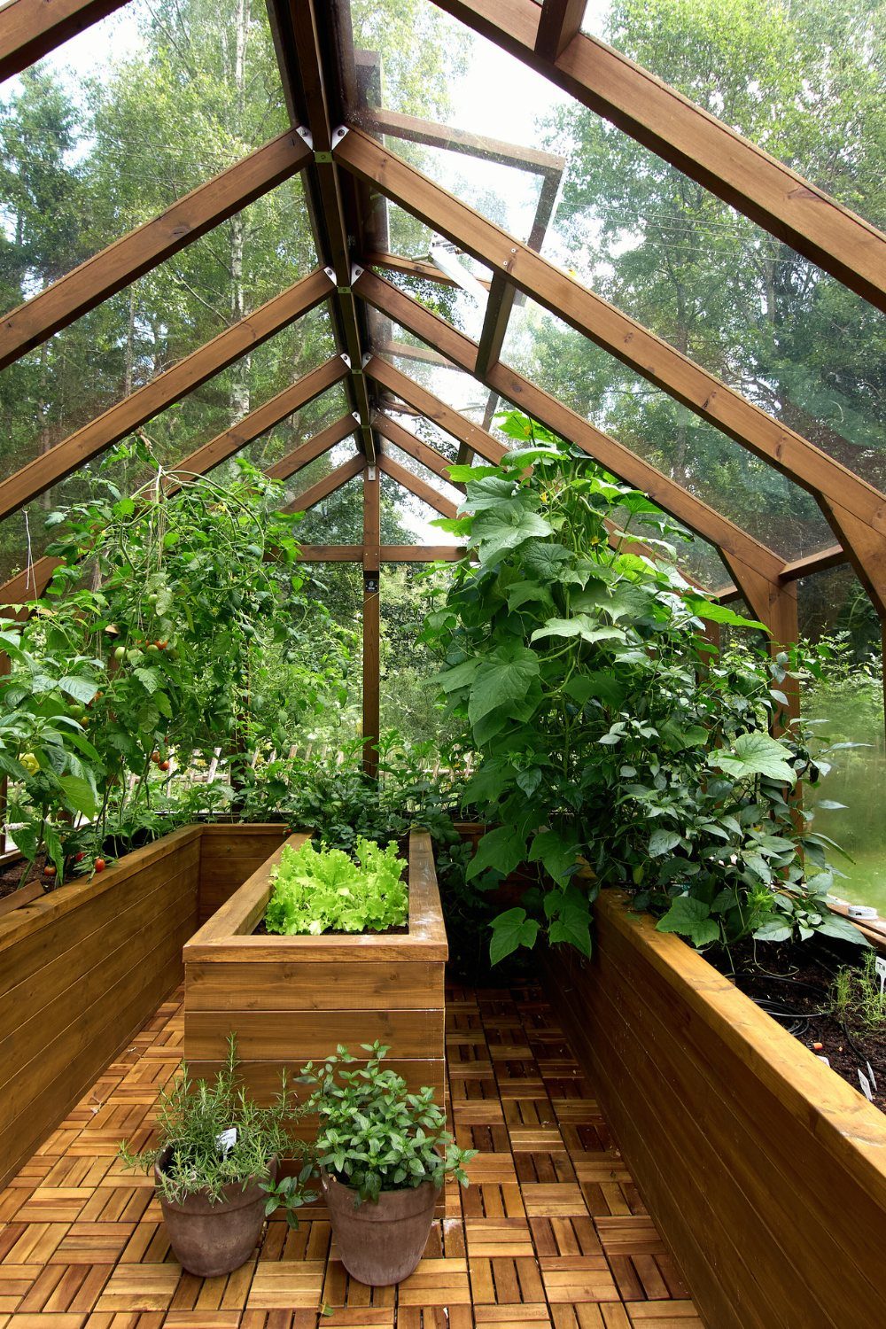 Wooden planter boxes filled with green plants inside a slanted roof greenhouse with wooden flooring.