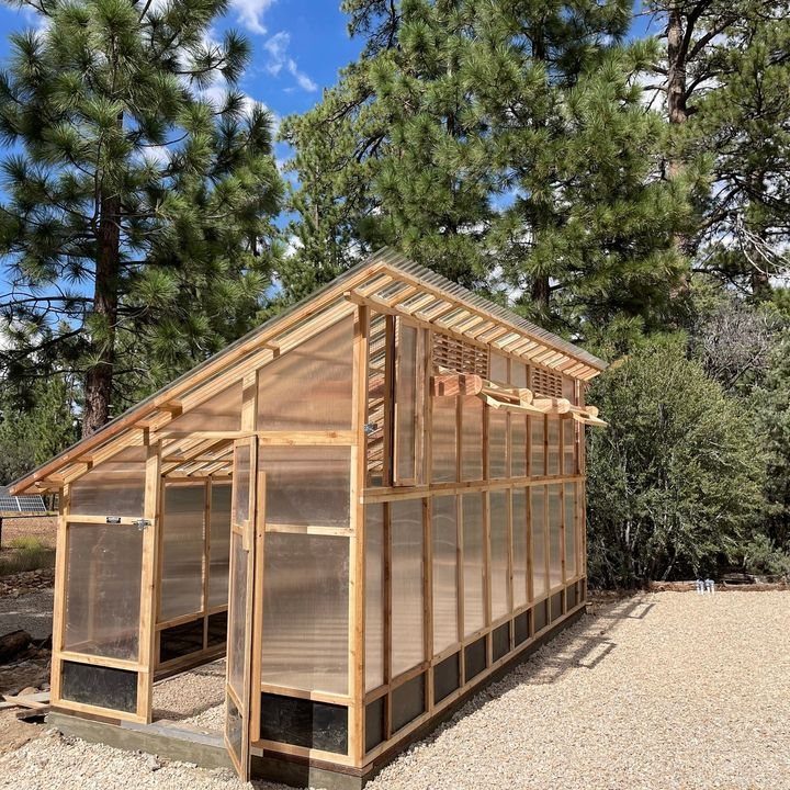 A wooden frame greenhouse with a slanted roof and translucent panels in a pine forest.