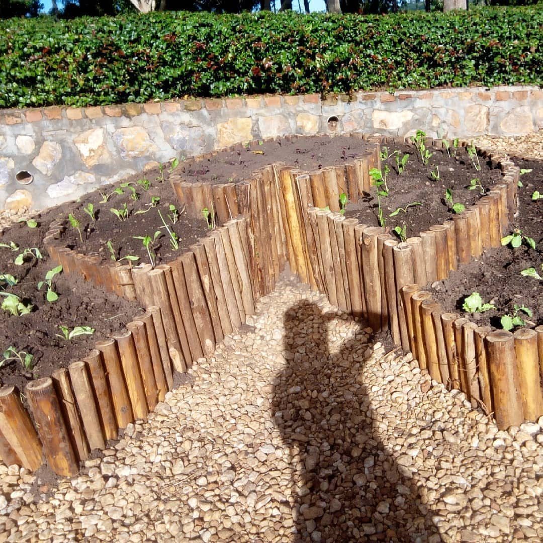 A keyhole-shaped raised garden bed made of wooden logs filled with soil and small green plants.
