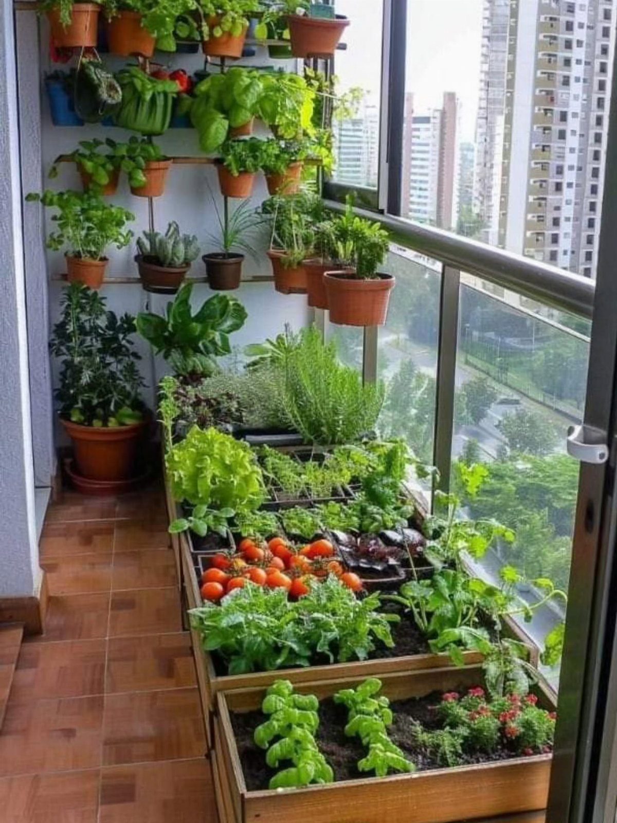 Green vegetables and herbs growing in raised wooden beds and vertical wall pots on a balcony.