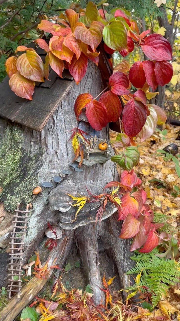 13 Unique Garden Ideas for Planters, Privacy Screens and Pallet Projects 7 A miniature fairy house constructed within a tree stump surrounded by autumn leaves and tiny mushrooms.