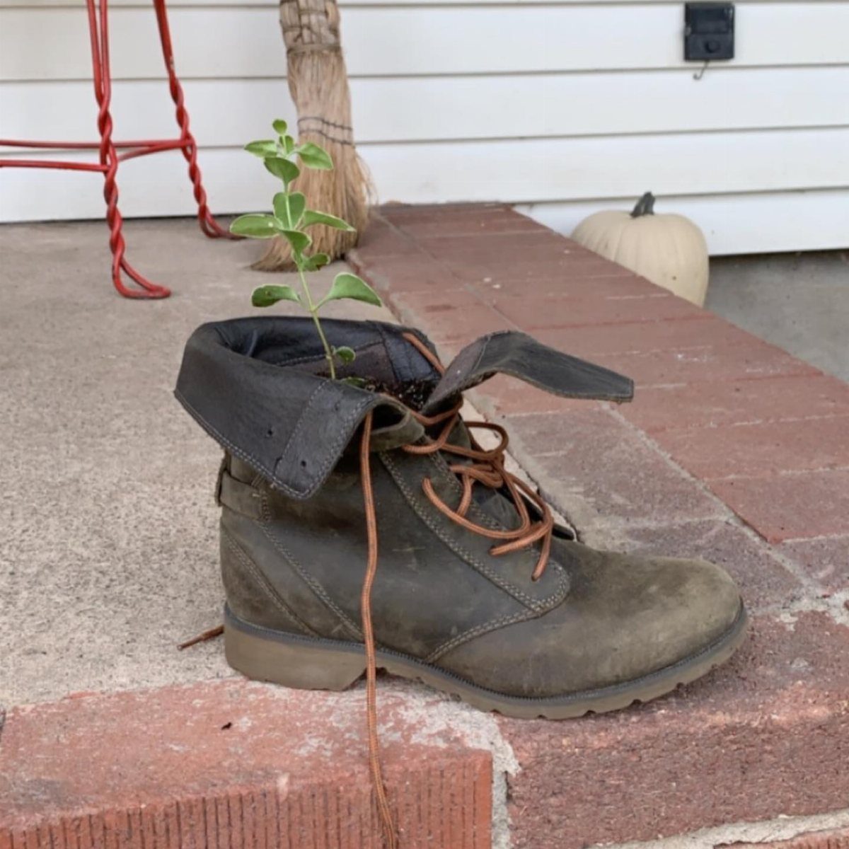 13 Unique Garden Ideas for Planters, Privacy Screens and Pallet Projects 9 A small green plant growing out of a weathered brown leather boot on a brick ledge.