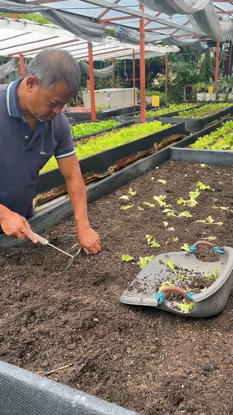 A man working the soil in a long black raised garden bed using a hand tool.