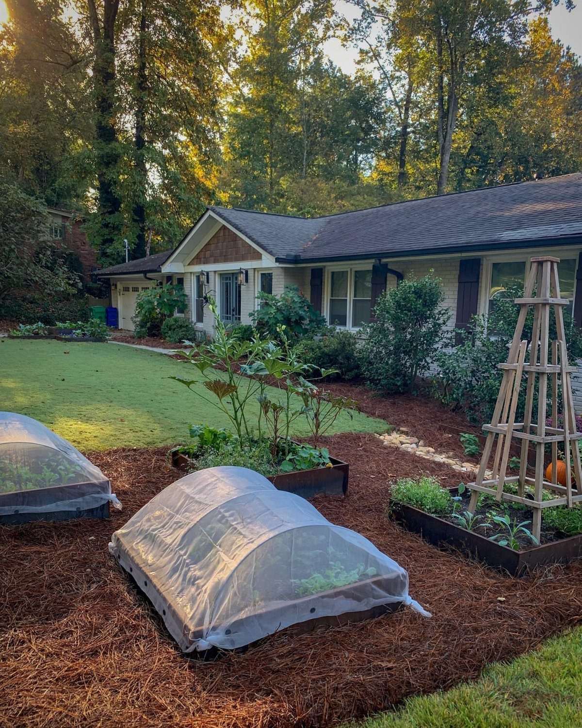 Vegetable garden beds with mesh covers situated in a mulched area in front of a house.
