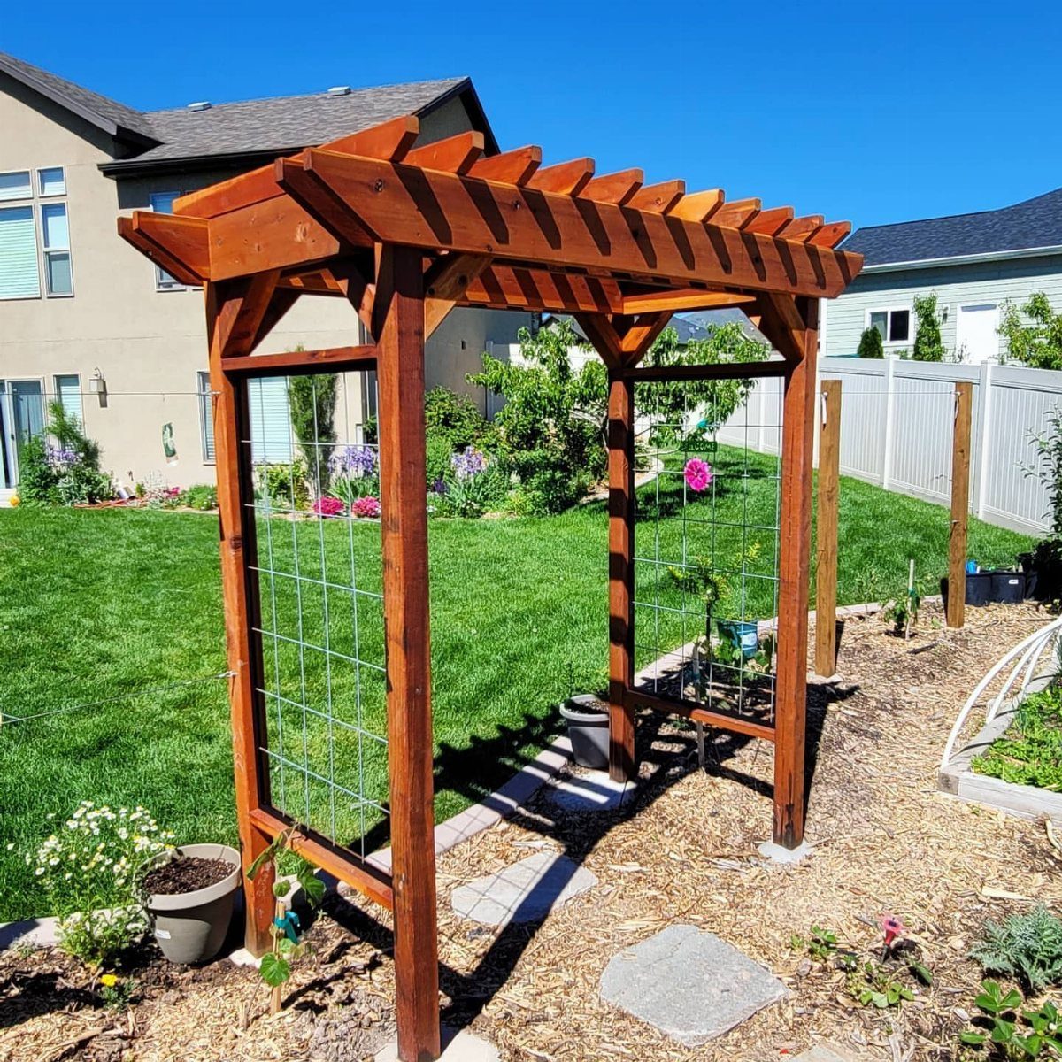 A wooden pergola with wire mesh sides stands in a sunny backyard garden.