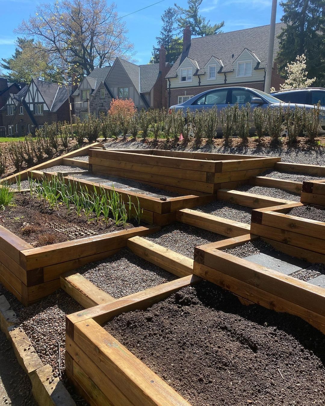Wooden raised garden beds with dark soil and small green sprouts arranged in a yard.