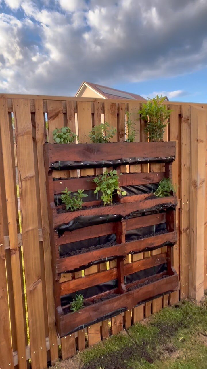 A dark wooden pallet garden mounted on a fence with green plants growing in the slats.