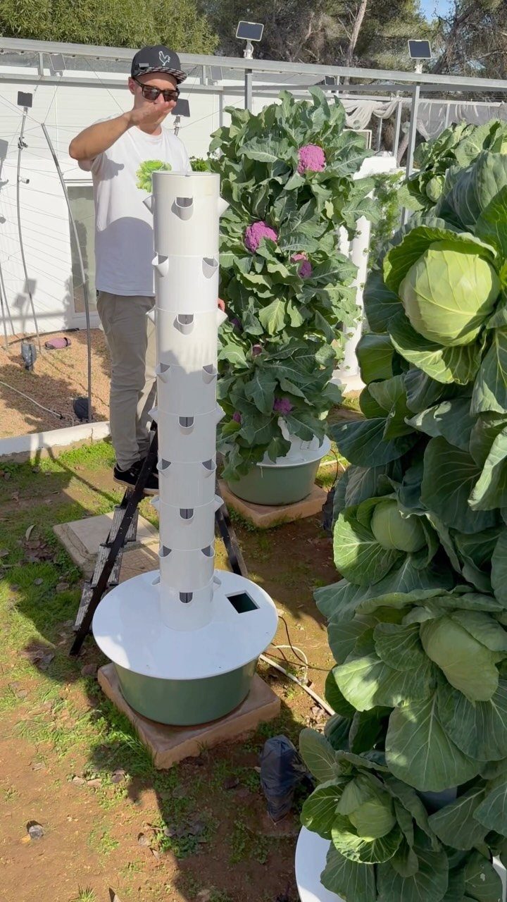 White vertical tower garden with green leafy vegetables growing in outdoor garden setting.